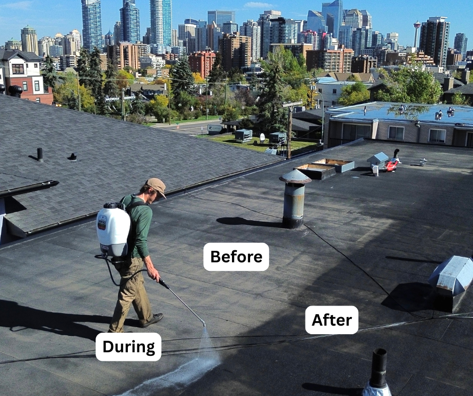 Treasure Valley roof rejuvenation project 3